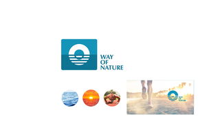 從LOGO到品牌靈魂 企業形象設計的全方位構建